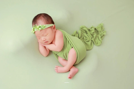 大连孕妇不能接触的花 大连孕妇不能接触的花